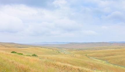 prairie