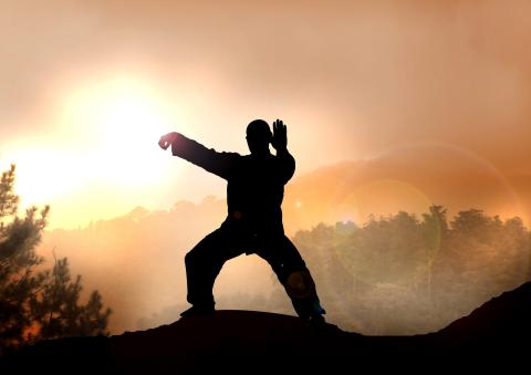 silhouette of person doing qi gong