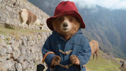 Paddington in Peru