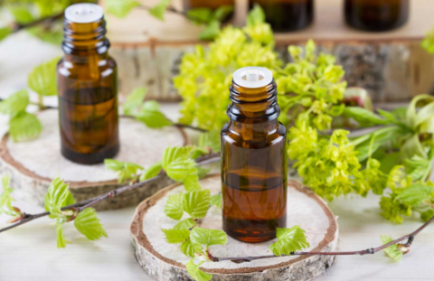 Essential oil bottles with greenery surrounding them