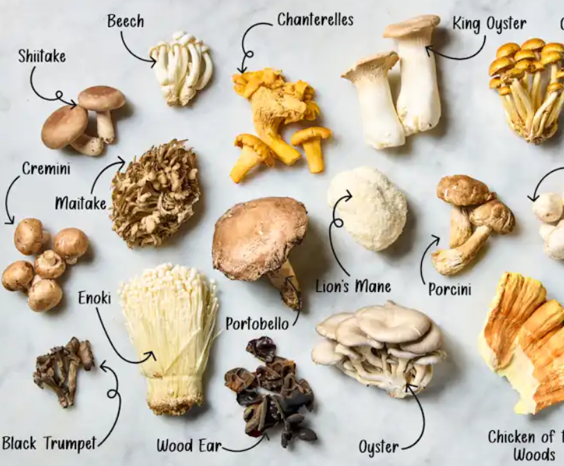 mushrooms labeled 