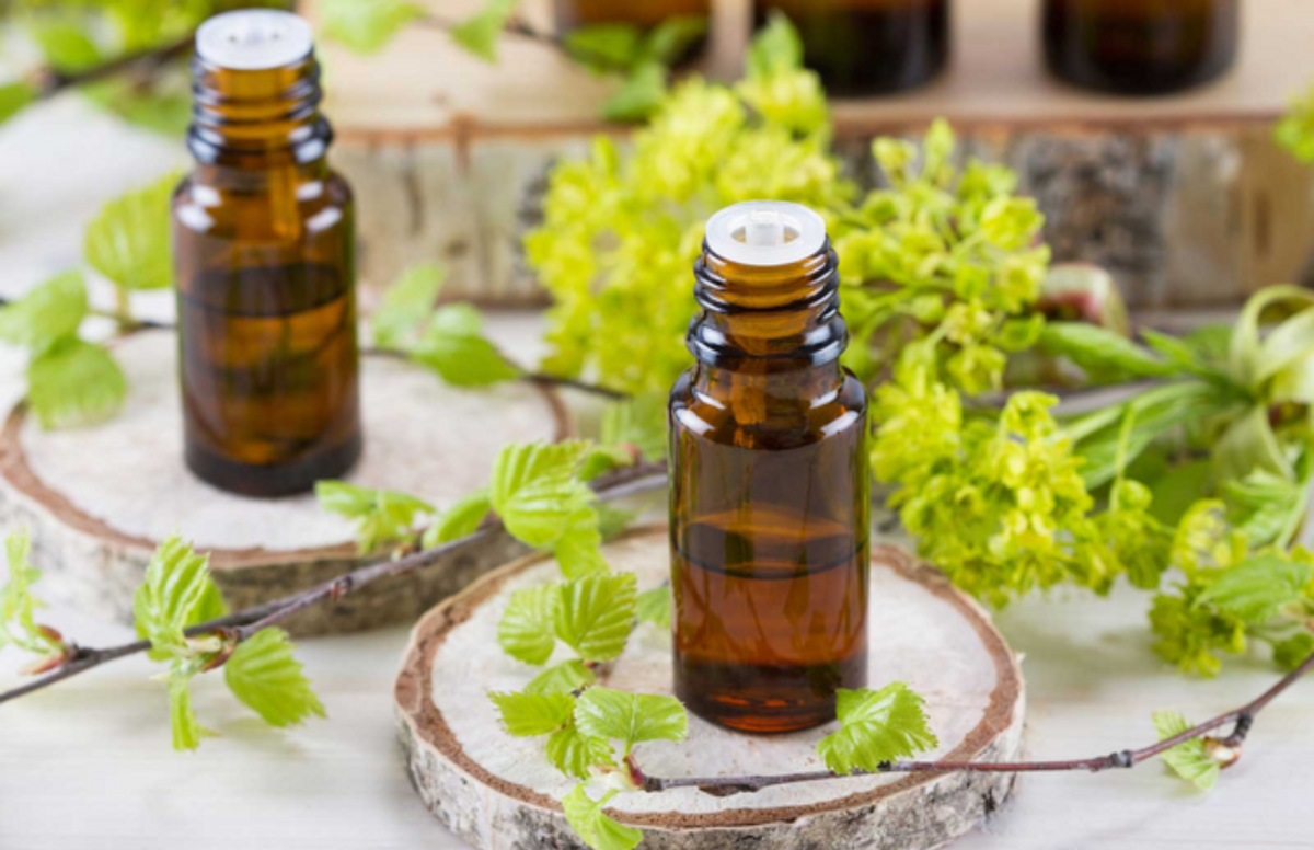 Essential oil bottles with greenery surrounding them